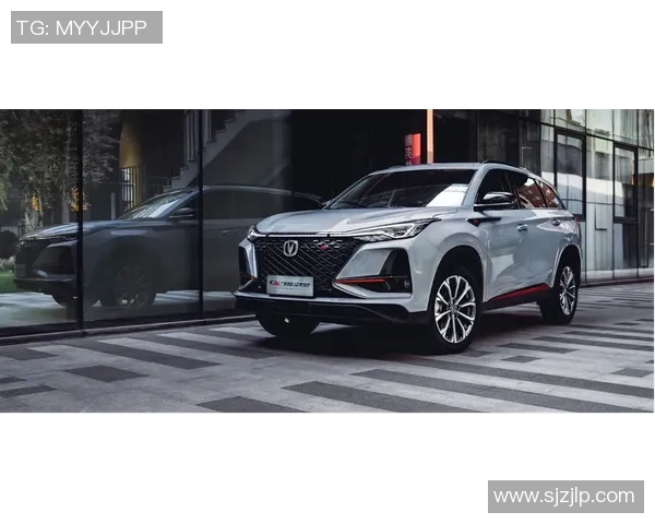 沙伽与杜海勒的巅峰对决谁能在这场激战中笑到最后